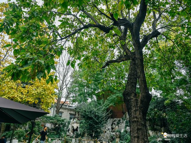 眼都之旅|一场穿梭于“旧与新”“洋与土”之间的沉浸式体验！