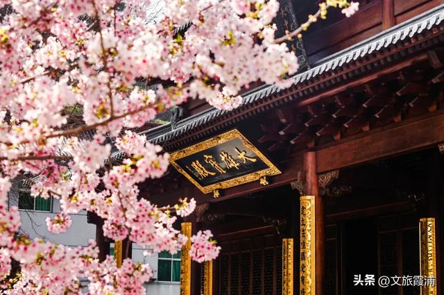 跟着千年诗句游霞浦!这些小众地标藏着最古老的山海浪漫