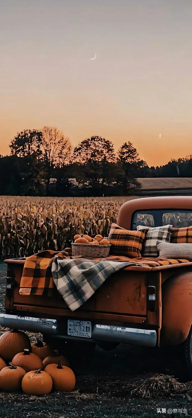 爱,是那碗深夜的醒酒汤