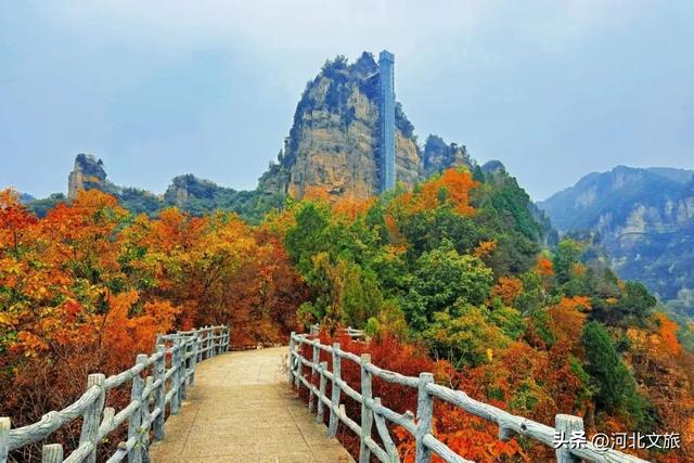 漫山红叶等你来赏，感受秋日兴隆山里的惬意时光