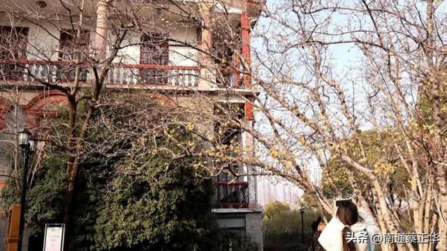 南通冬日“顶流”回归！