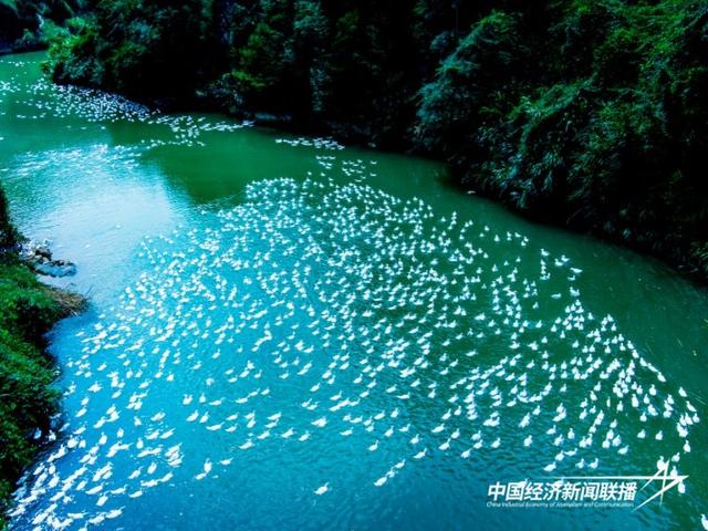 福建尤溪半山村“秋韵如画·国庆盛宴”音乐美食文化节盛大来袭