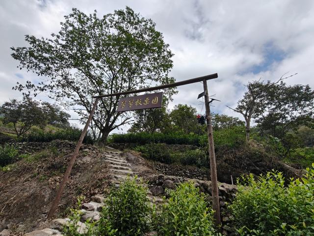 天台县桥棚村，小桥流水人家，古道西风瘦马