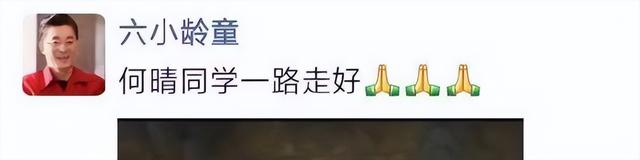 告别仪式当天，何晴生前担心的事还是发生，许亚军的话有人信了