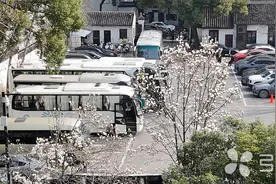 春意渐浓！快看苏州这一城繁花图片