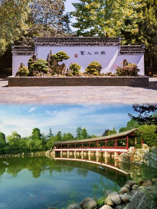 古树观鸟图鉴・研学线路② | 雕梁画栋×非遗生态！黄山研学“双料派对”太炸💥| 超级皖黄山市争霸赛等你来战