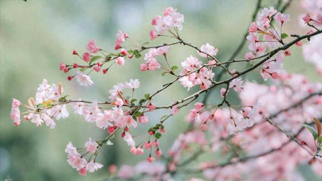 老伴退休跟人自驾游3年，回来我提离婚，她说又没做错为啥要分开