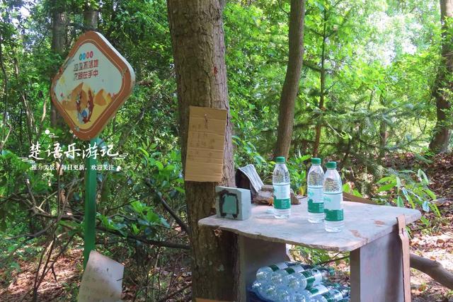 浙江宁波的绝秘幽谷，山石险峻景色绝美，是徒步与观景的绝佳之地