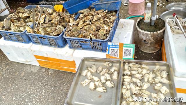 广州南沙金洲，一个充满市井生活气息的地方……