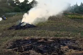 定了！禁烧秸秆政策已盖棺定论，农民不用再争论了，按规行事吧！图片