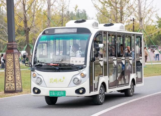 初冬限定！观鸟、彩叶、遛娃一站式，承包全家 “零负担” 快乐