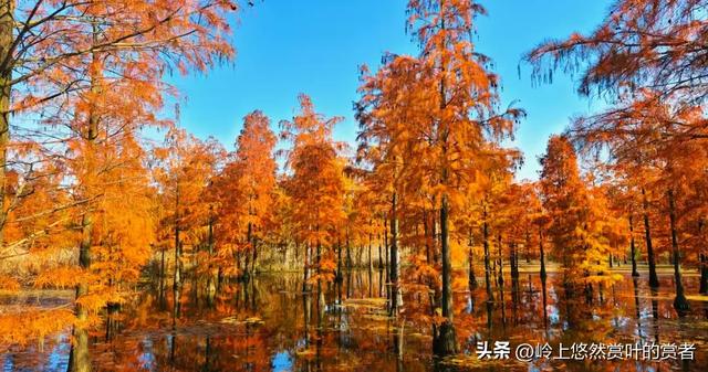 【探索安徽，感受文明互鉴的新篇章】