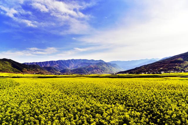 四川省越西县历史沿革及行政区划
