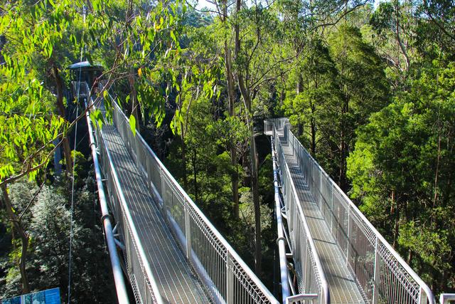 澳大利亚墨尔本｜大洋路自驾游攻略｜史上最浪的海岸线