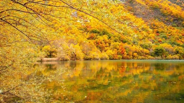 松坪沟的秋天，把油画里的颜色都搬来了吧