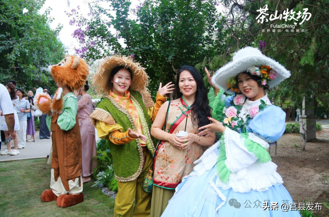 莒县文旅再焕新！浮来青“茶山牧场”开门迎客！