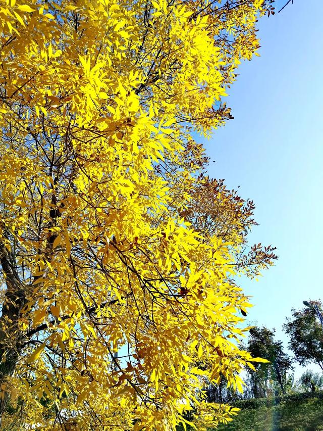 人情往来，有来有往，情意绵长