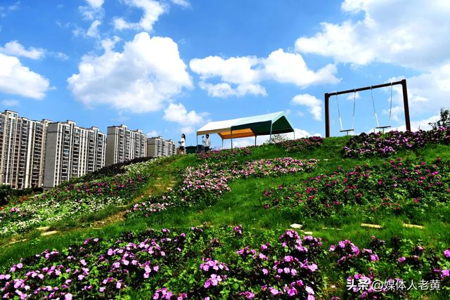 六盘水明湖花海盛开引游客赴一场秋日游约会