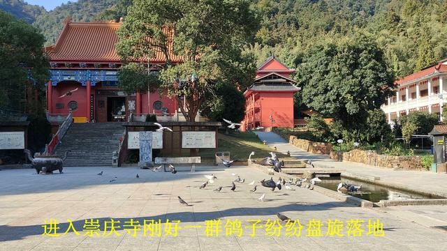 四天的走街串巷，我们了解了新余不同于其他城市的特点