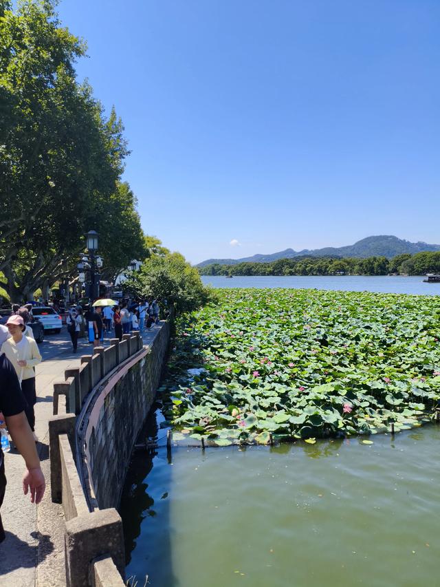 美丽的杭州，醉人的西湖