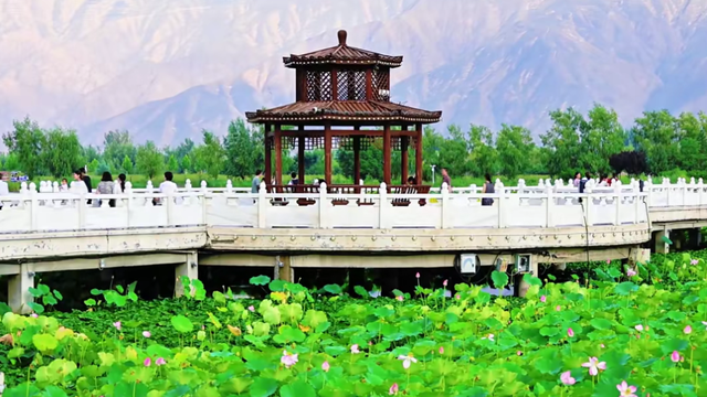 【白银文旅】白银区乡村“秋景图”：美得让你移不开眼