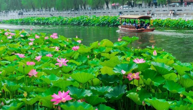 爱你老己！在许昌必打卡的十件温暖小事 ~