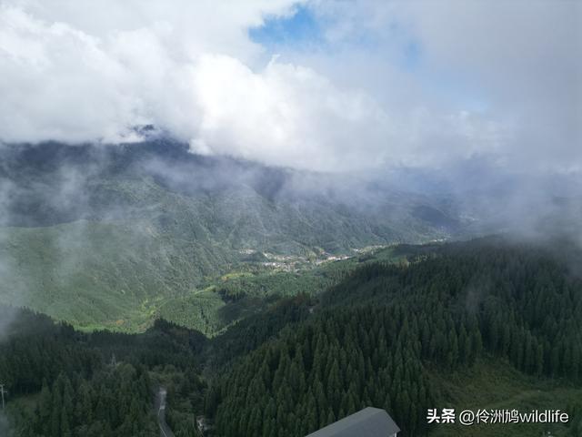 四川行(73)什邡红枫岭徒步到钟鼎寺