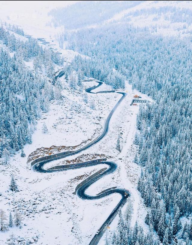 阿勒泰冬日仙境，雪域精灵跳跃，我被这片童话世界震撼了