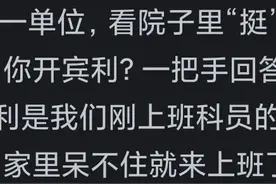 体制内可以开劳斯莱斯上班吗？网友的分享颠覆了我的认知!图片
