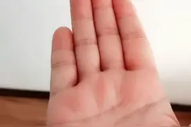 俗语“手指短而粗，终生必忙碌”，说的是什么意思？有没有道理？图片