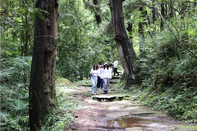 川超开zuá！跟着球赛一路向“昭”，踢球看景两不误