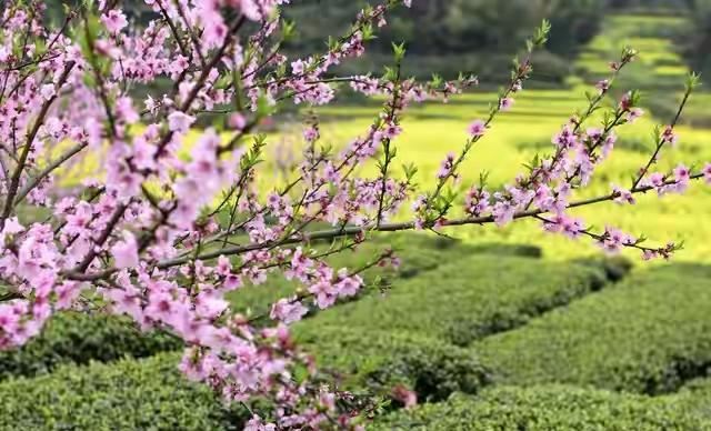 过来人忠告：人到晚年与子女相处，记这6条规矩，不吃亏还受尊重