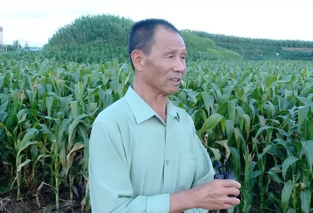 大理藏着一个抗战机场，曾是驼峰航线上繁忙的“心脏”