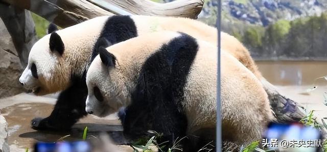 没有回旋余地，中国下令直接收回，17万日本人泪奔，高市闯祸了！