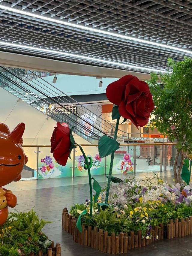 洛阳未来2大繁华区！别只盯十字街，这俩地方才是王炸！