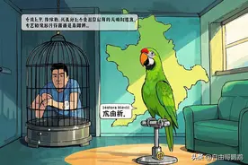 河南试点开放4种鹦鹉！合法养宠不踩雷，这波操作爱鸟人狂喜图片