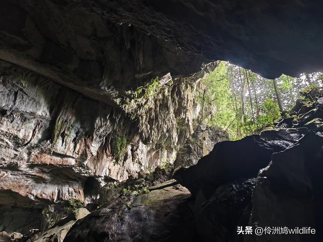 马来西亚(29)砂拉越州③姆鲁山清水洞·风洞