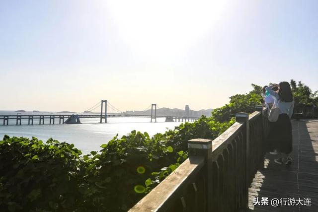 逃离“浪浪山”？下一站，大连！