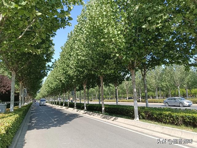 浐灞港务区半日游,顺路逛到临潼,然后坐火车回西安