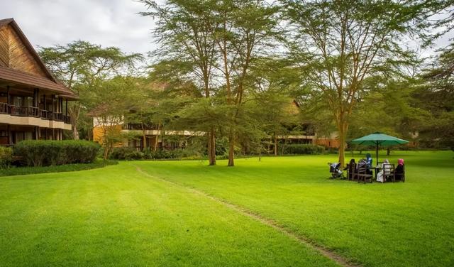 春节旅行卷向非洲！9天假期去肯尼亚看动物，成体验派游客新宠