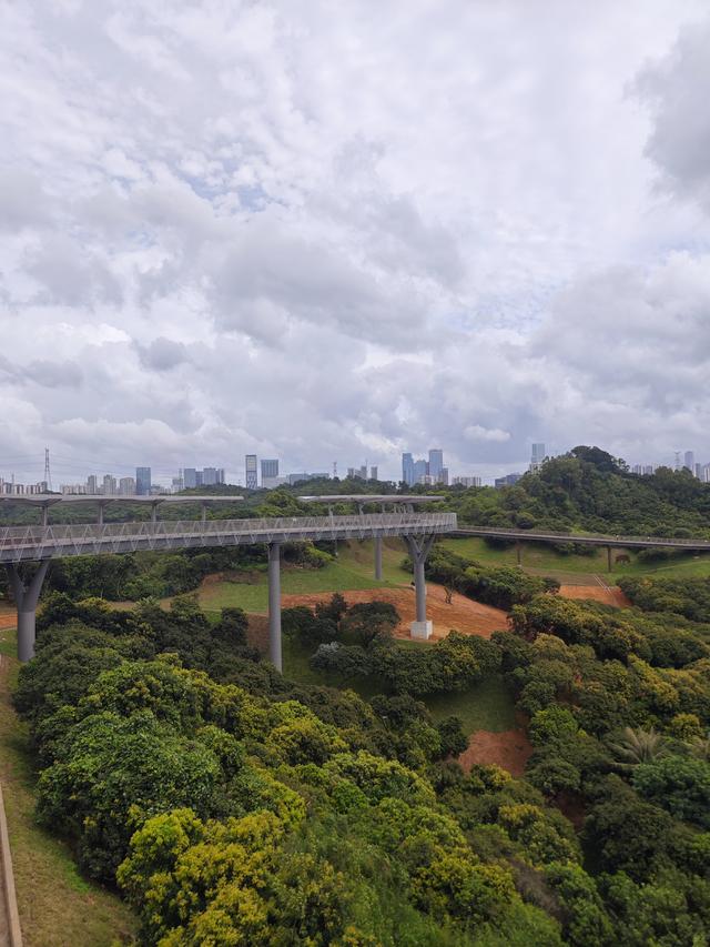 西丽湖国际科教城绿道高清随拍