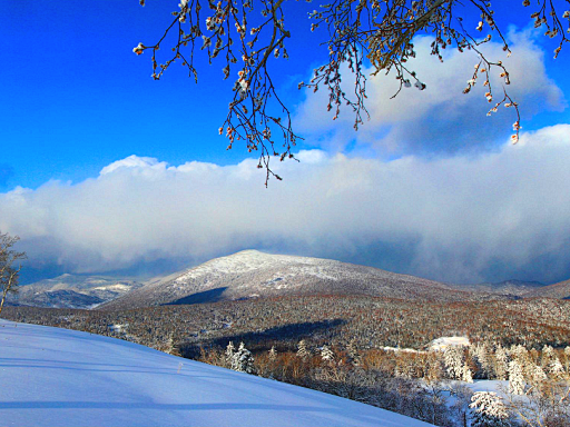 哈尔滨凤凰山冬景即将上线！雾凇林海与雪地运动共绘冰雪秘境