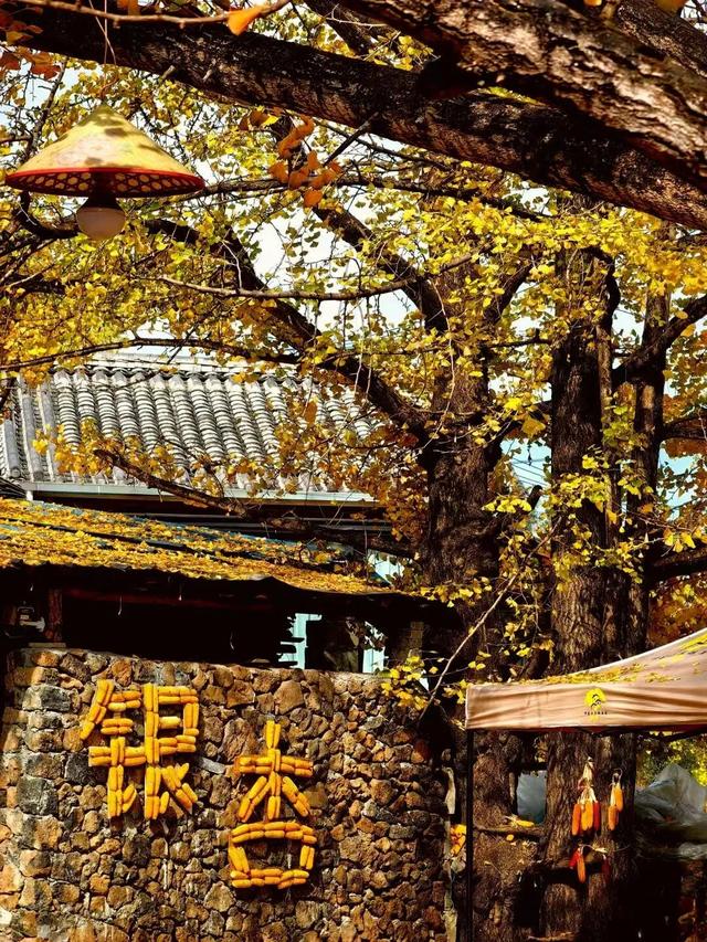8月避暑出行，云南这座小城一定要去！均温23℃，清凉又舒服！