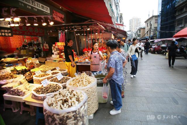 贵阳巷里走丨黔灵巷：岁月沉淀下的生活诗行