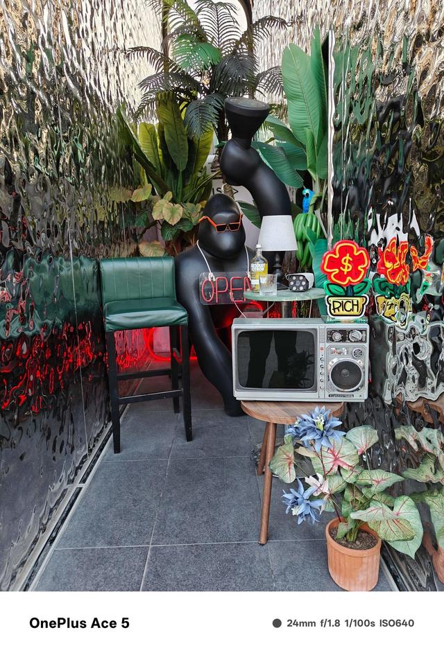 一加Ace 5全面评测 送给电竞玩家的年末礼物