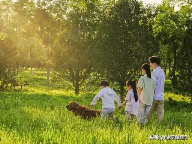 十月职场人必看！这份“偷懒指南”让你轻松躺赢年底冲刺
