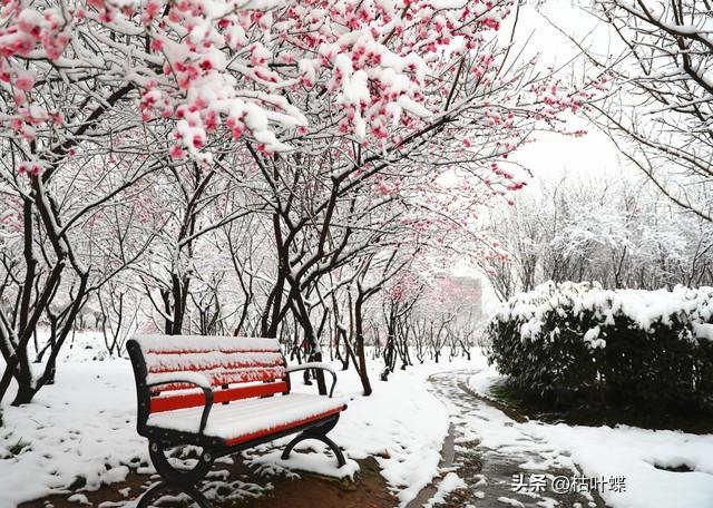 秋风不在冬风起，谁又窗前盼春花