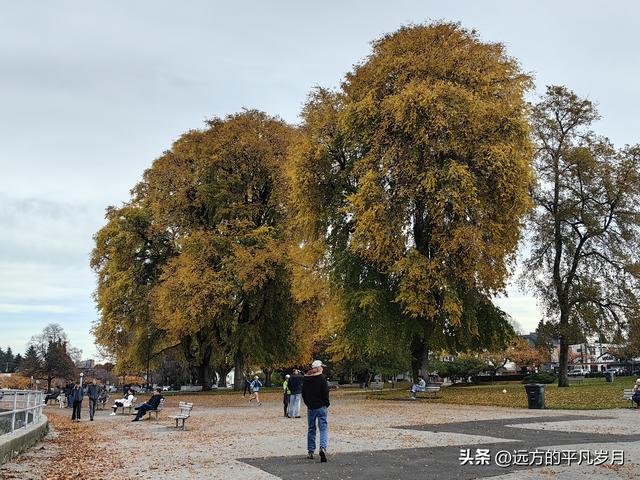 温哥华游记（五）