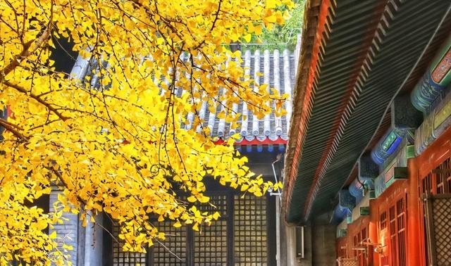 北京这几个小众赏秋地，让你私享整个秋天！