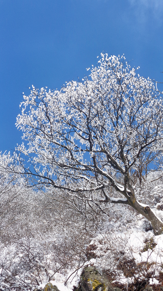 又来？这样的随州，你见没见过？